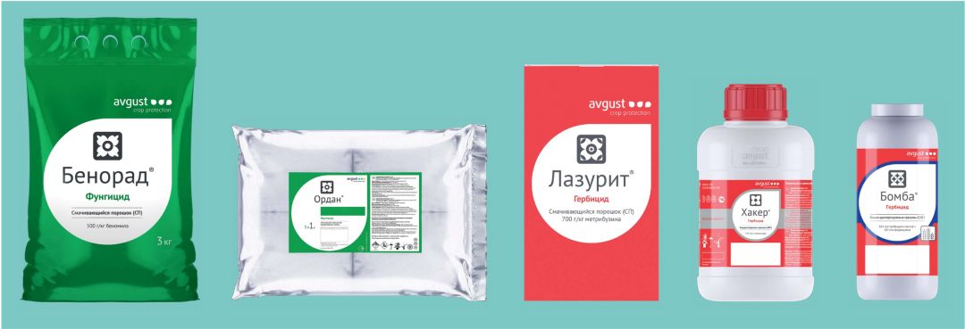 Упаковки продукции компании «Август» в твердых препаративных формах Упаковки продукции компании «Август» в твердых препаративных формах