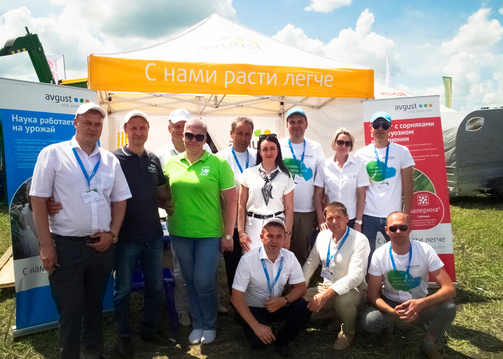 "August" în partea de jos a câmpului Voronezh