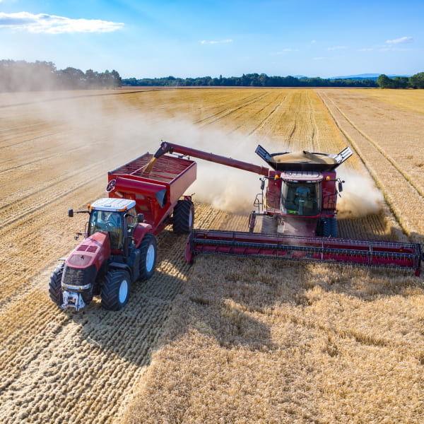 Calculul randamentelor culturilor de câmp