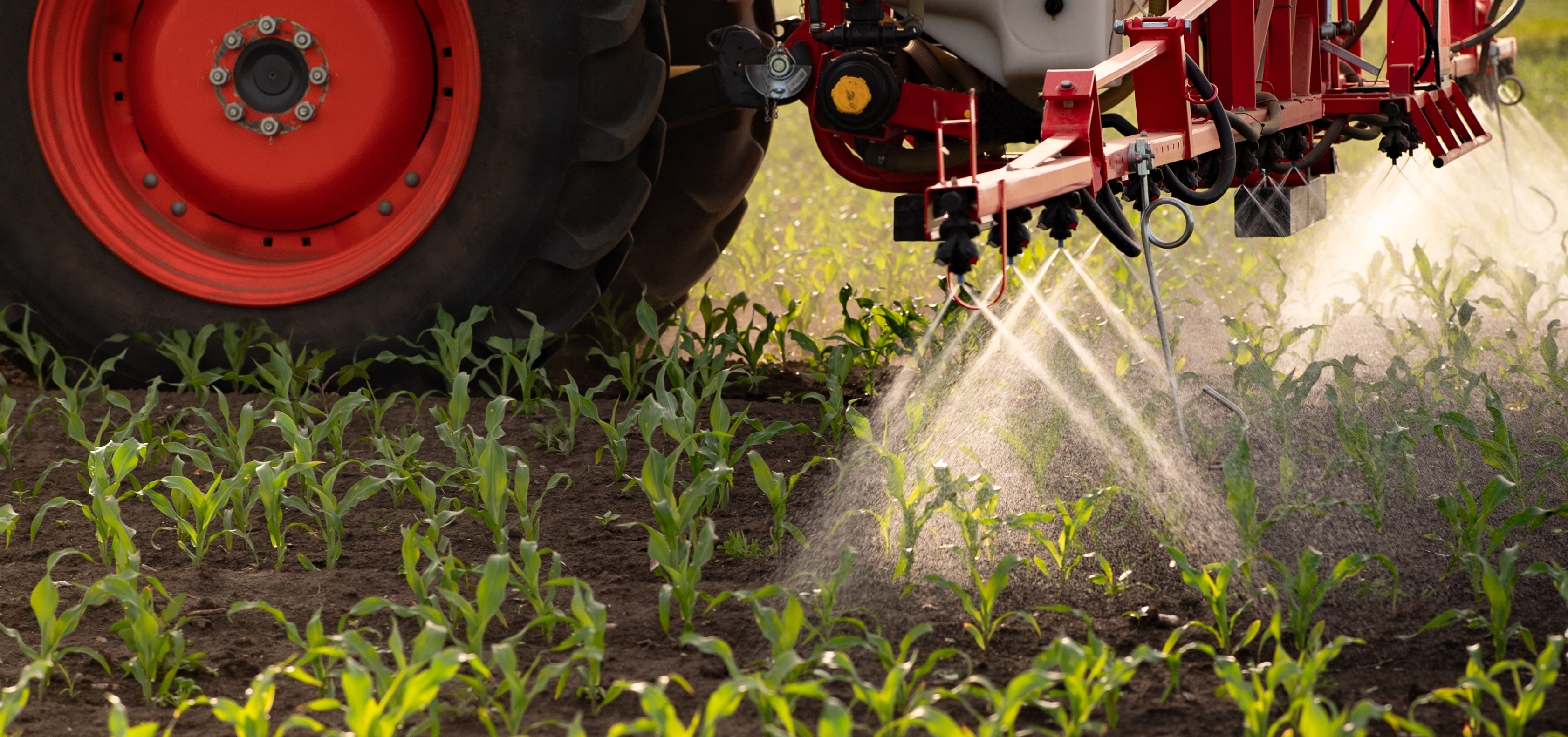 "August": despre problemele contabilității tratamentului pesticidelor și măsurile de remediere a situației