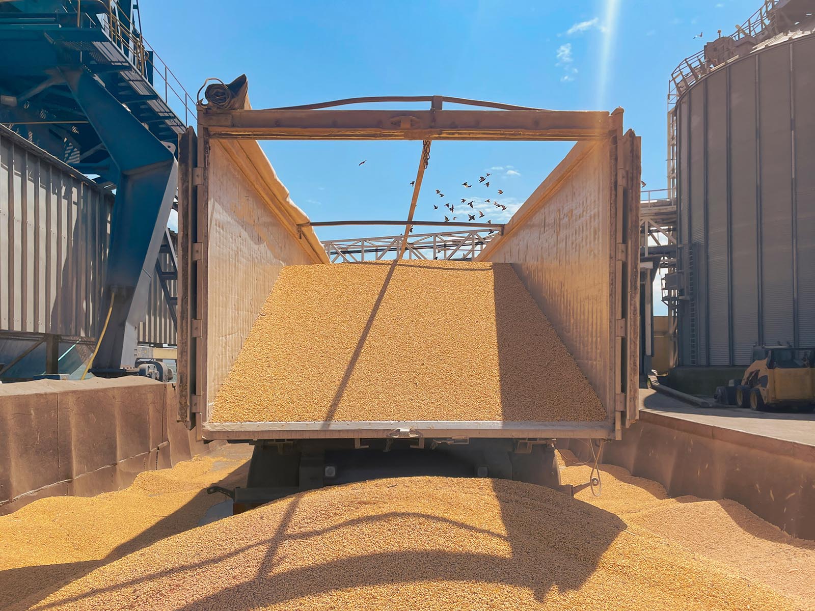 Exporturile de produse agricole din Tatarstan au crescut cu 7%