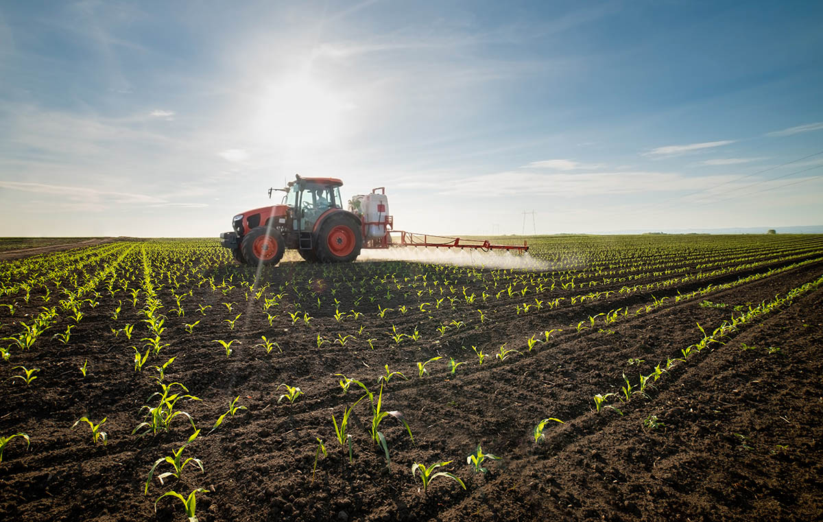 "August" prezice o oprire a creșterii prețurilor la produsele fitosanitare