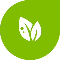 Piciorul negru al răsadurilor de varză