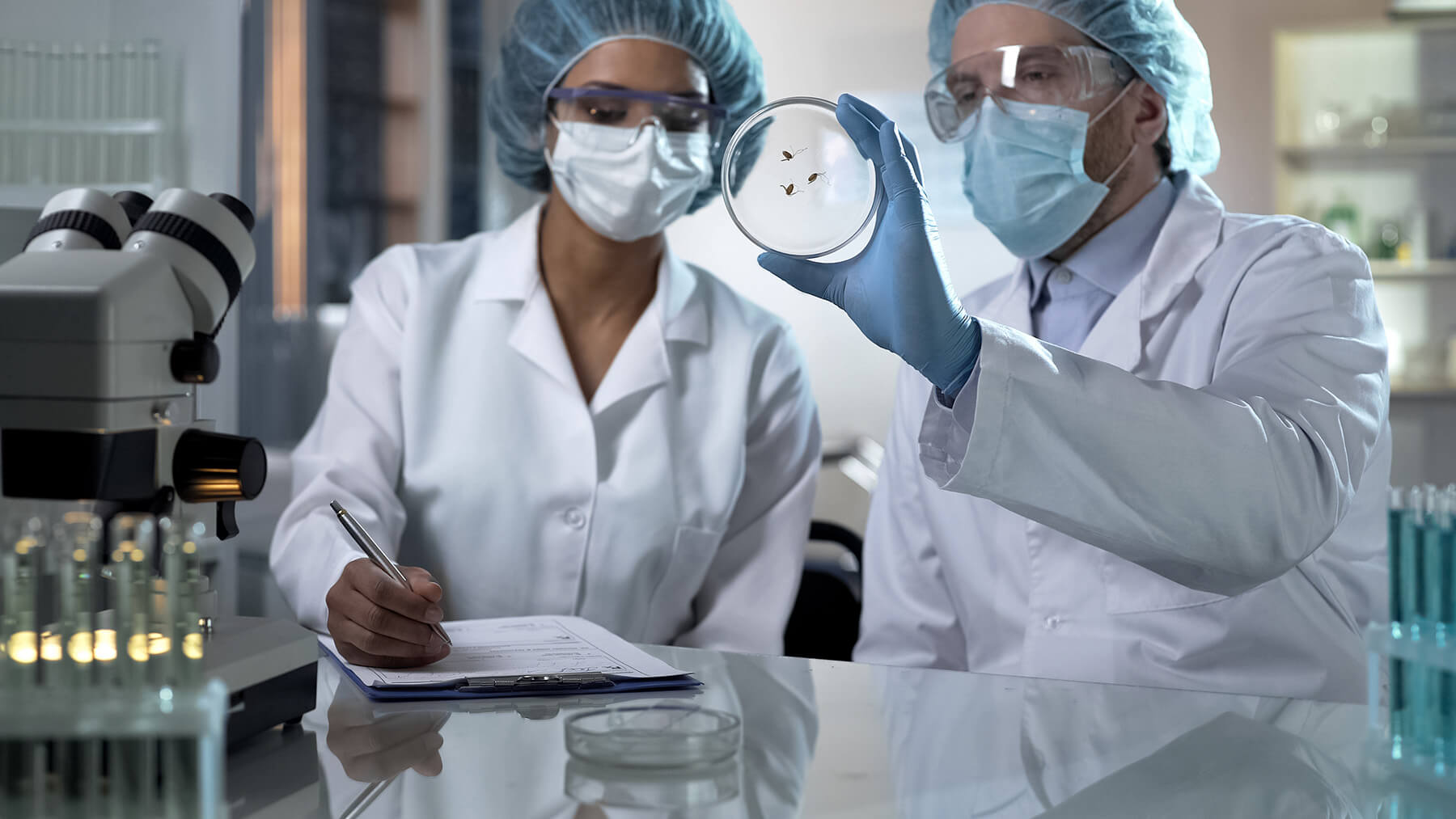 August a creat un nou laborator pentru dezvoltarea insecticidelor inovatoare